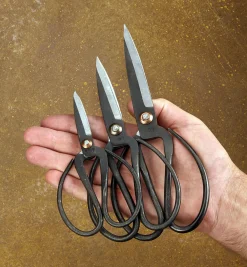 Set Of 3 Traditional Chinese Scissors