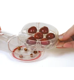 Six-Cherry Pitter