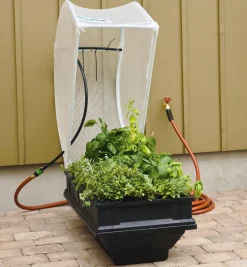 Small Vegepod Container Garden