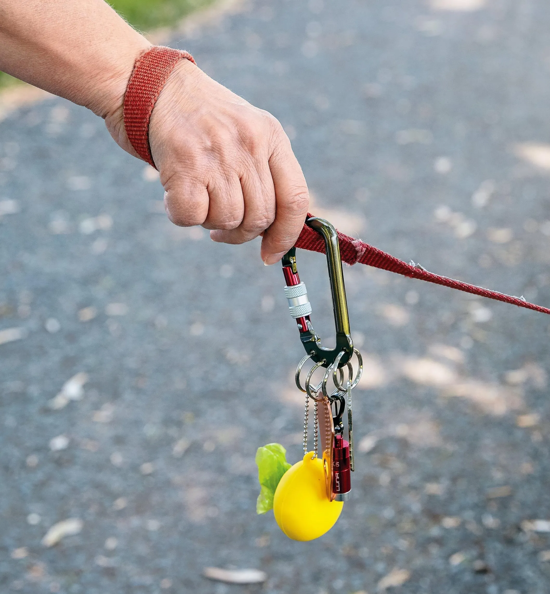 Split-Ring Carabiners