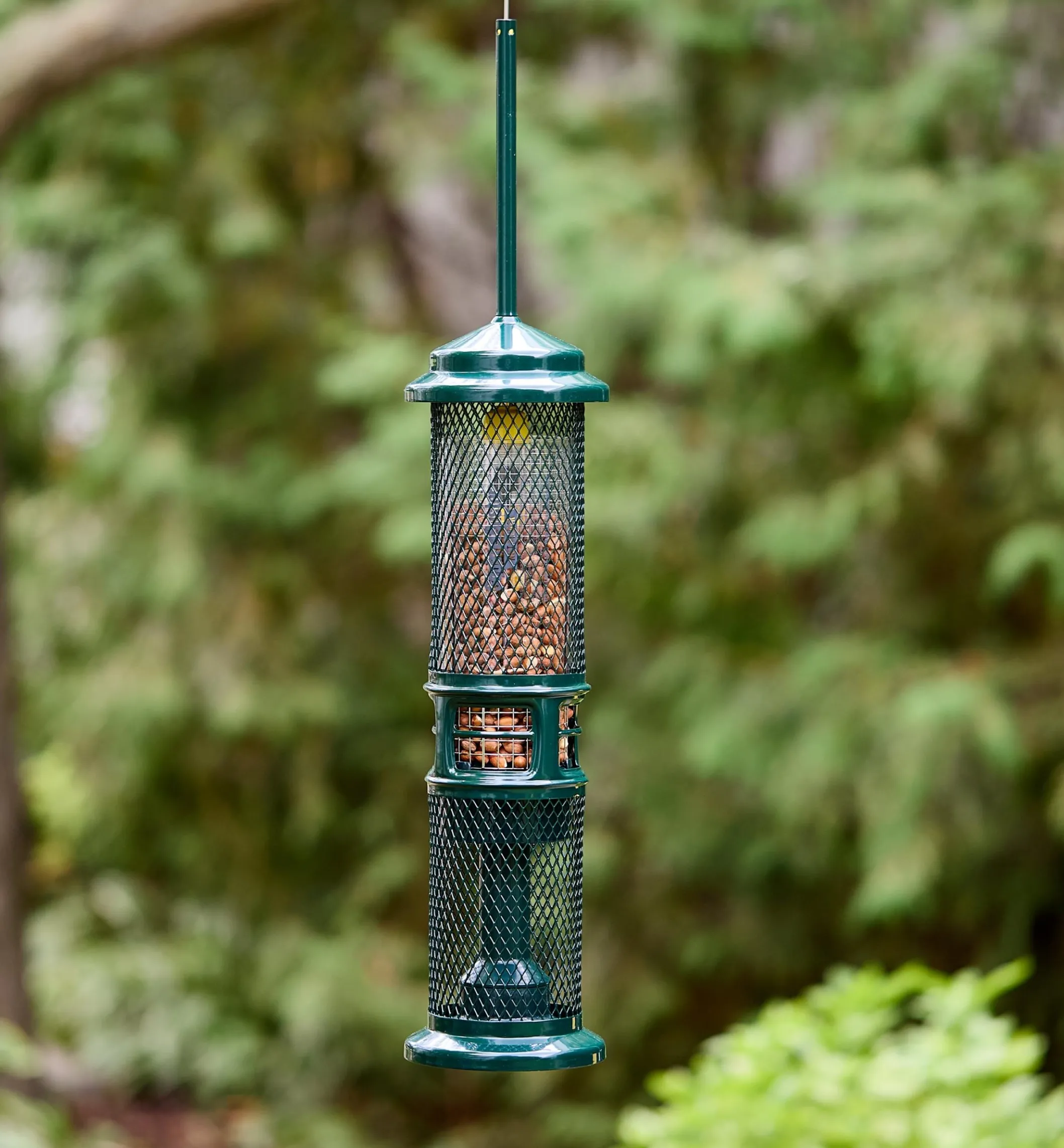 Squirrel Buster Nut Bird Feeder