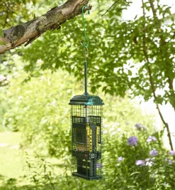 Squirrel Buster Suet Feeder