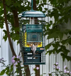 Squirrel Buster Suet Feeder
