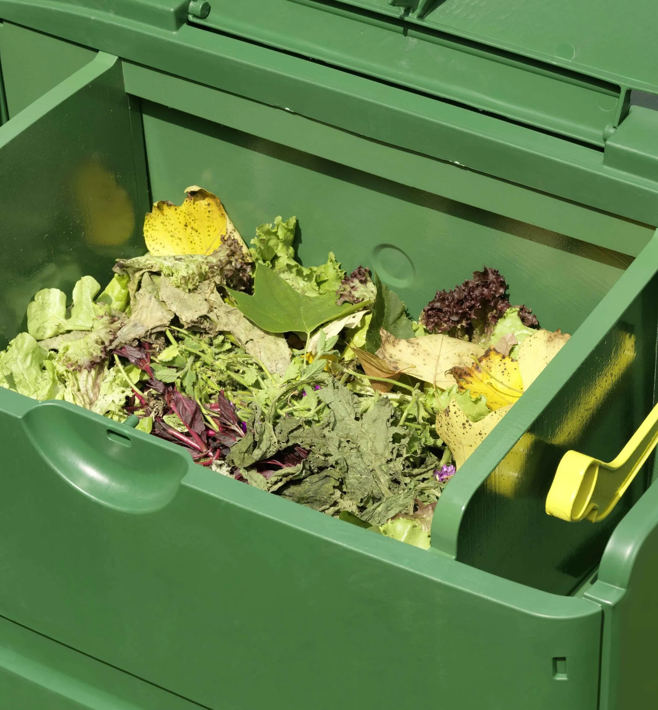 3-Stage Composter