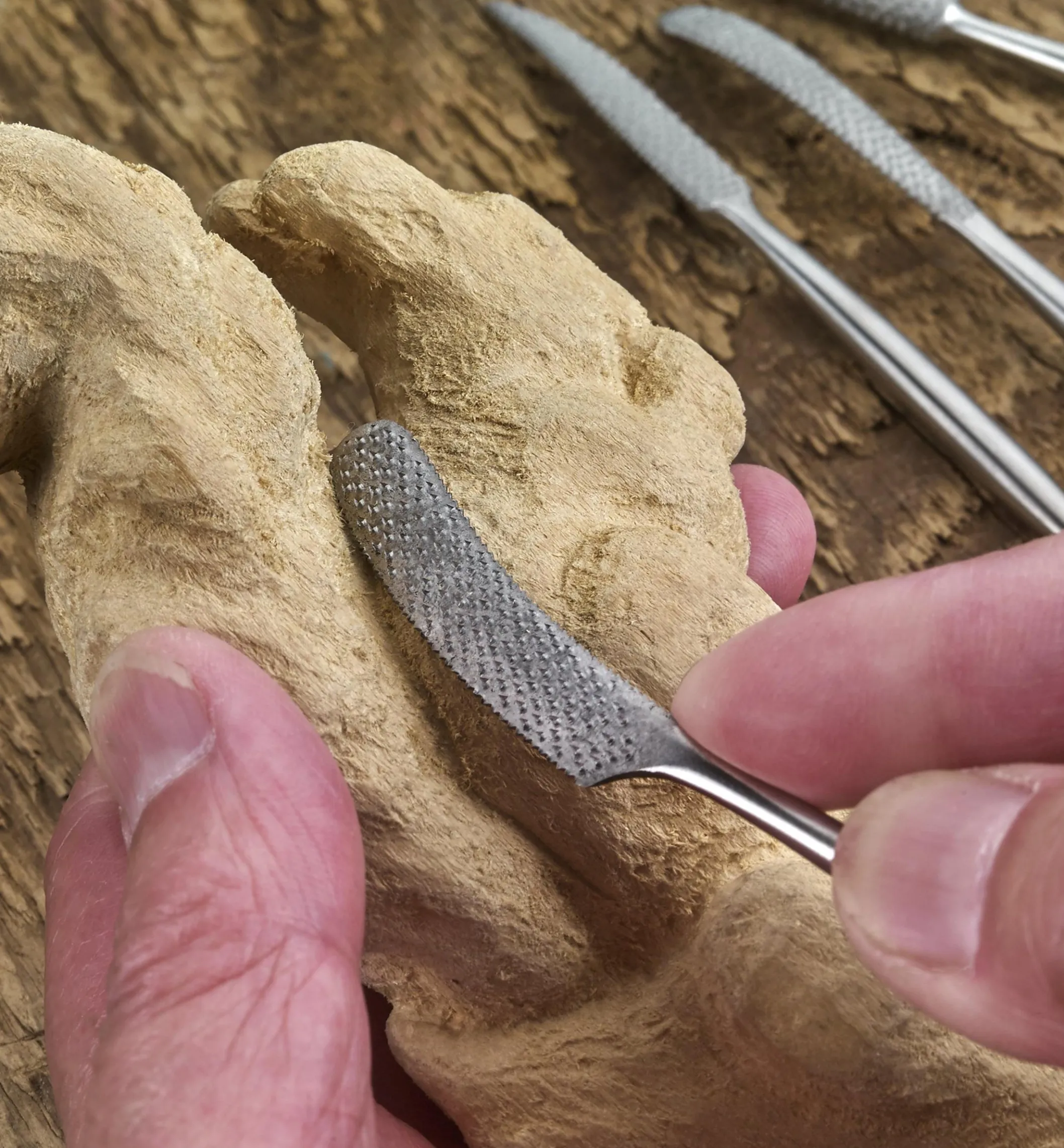 Stainless-Steel Hand-Stitched Riffler Set