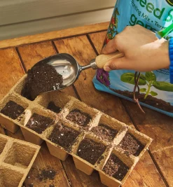 Stainless-Steel Mini Scoop