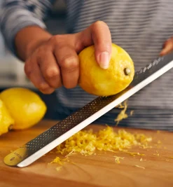 Stainless-Steel Rasp