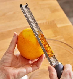 Stainless-Steel Rasp With Handle