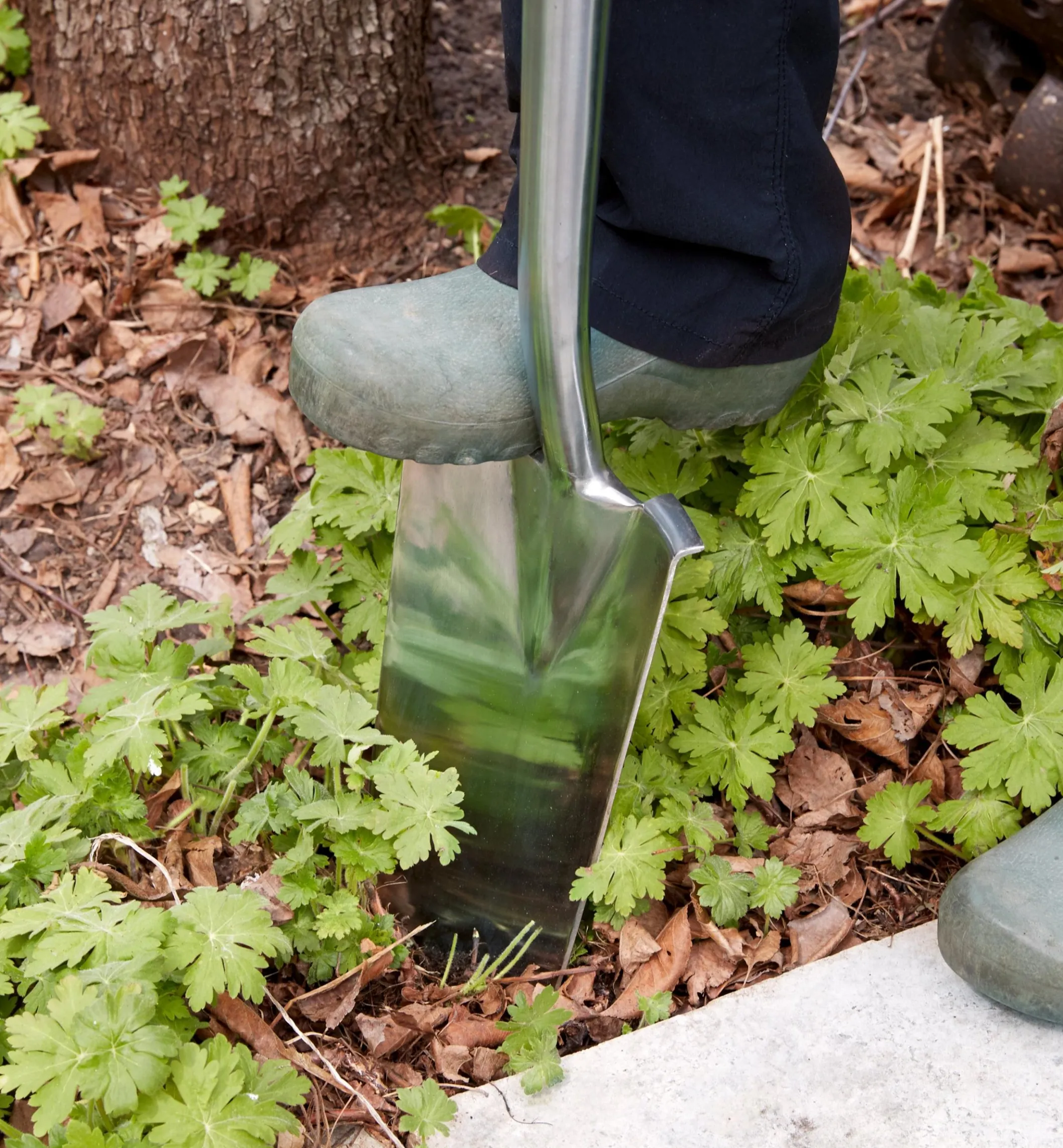 Stainless-Steel Transplant Spade