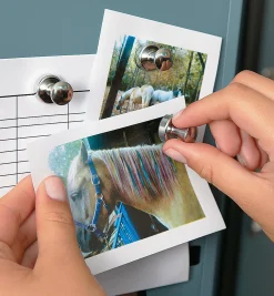 Super Magnets For The Fridge