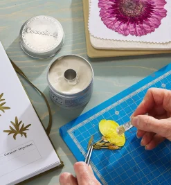 Traditional Paste Glue