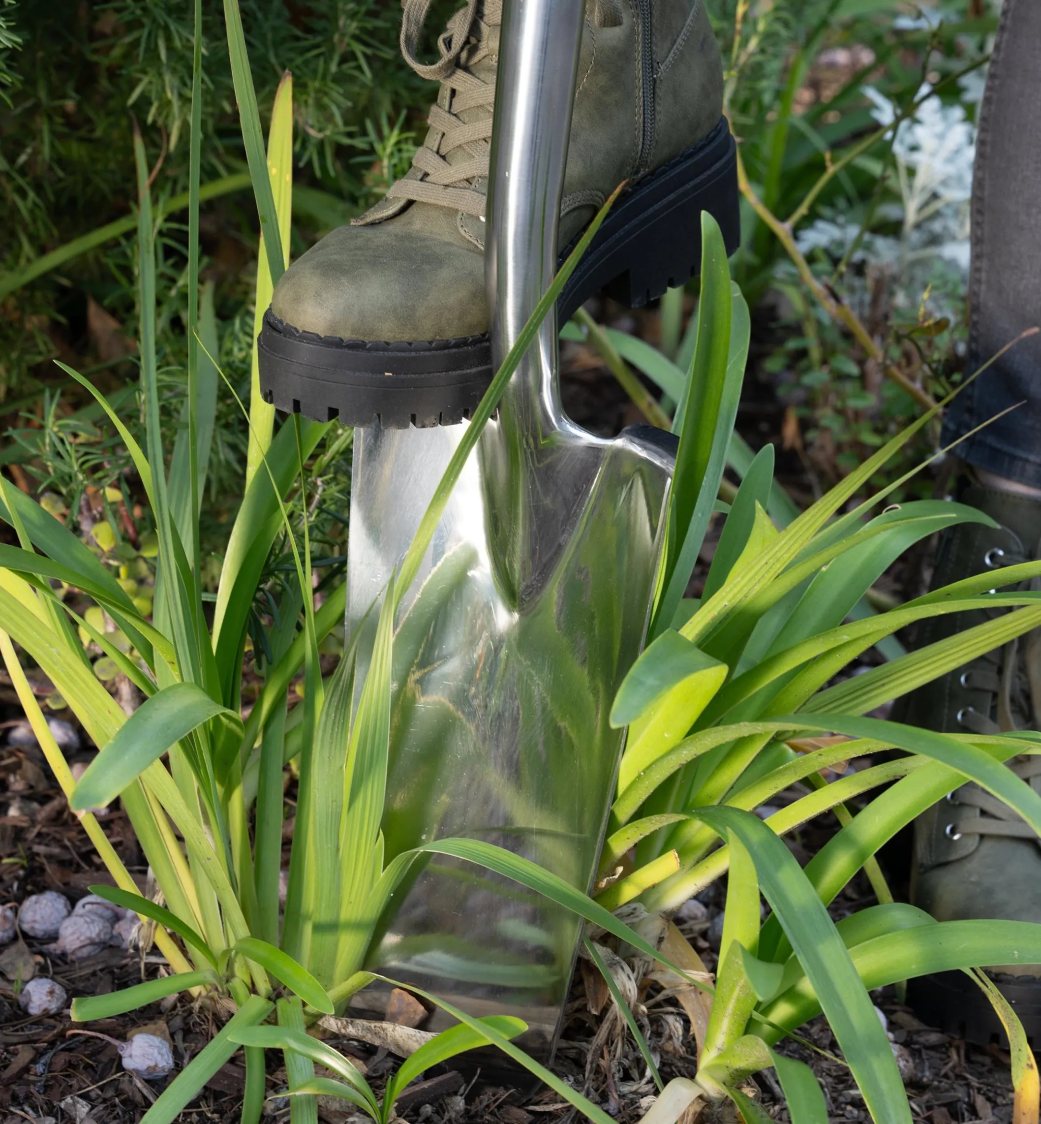 Transplant Spade