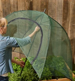 Umbrella Plant Dome