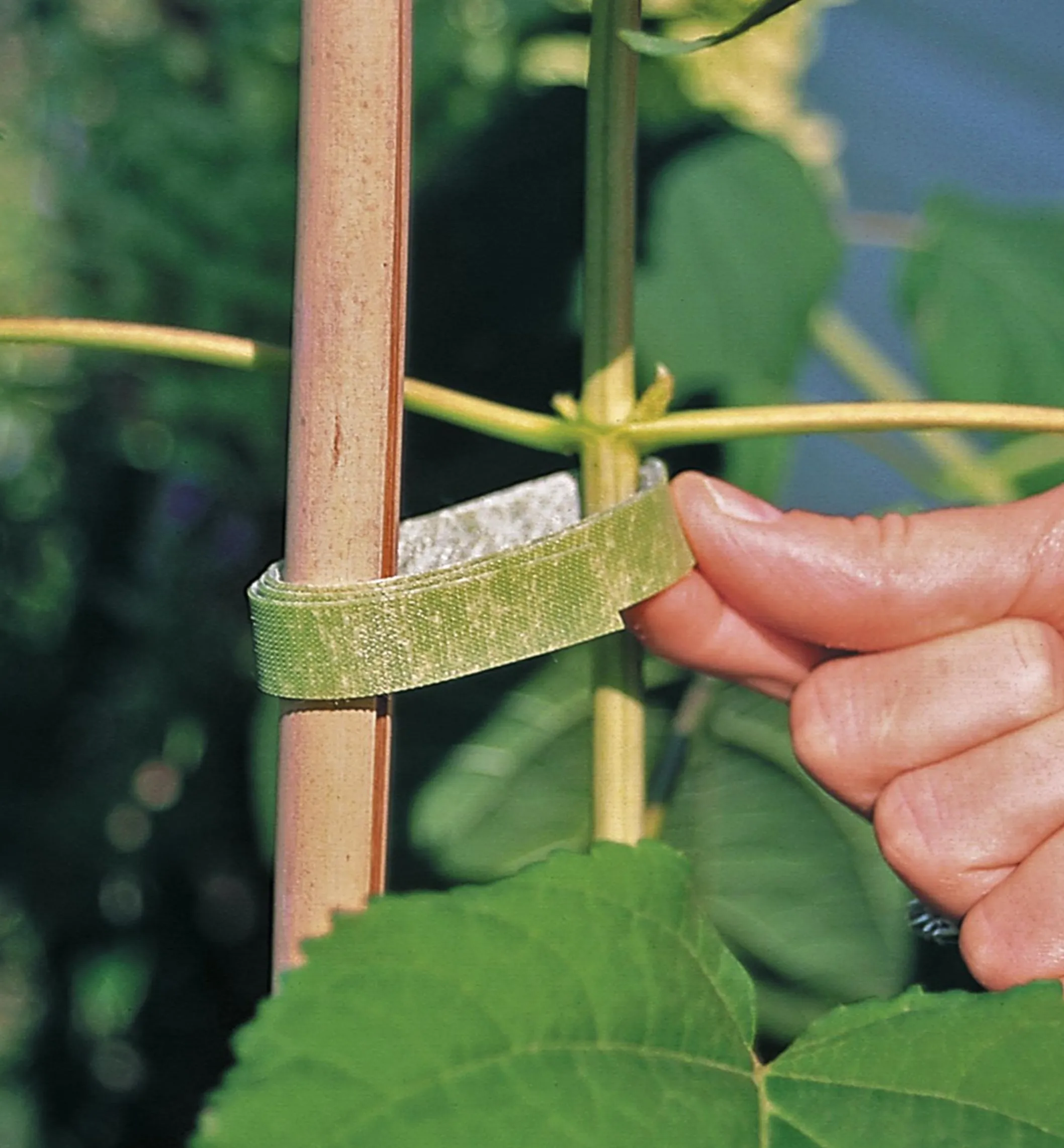 VELCRO® Plant Tie
