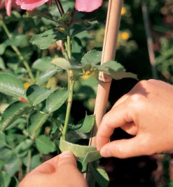VELCRO® Plant Tie