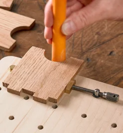 Veritas Miniature Wonder Dog