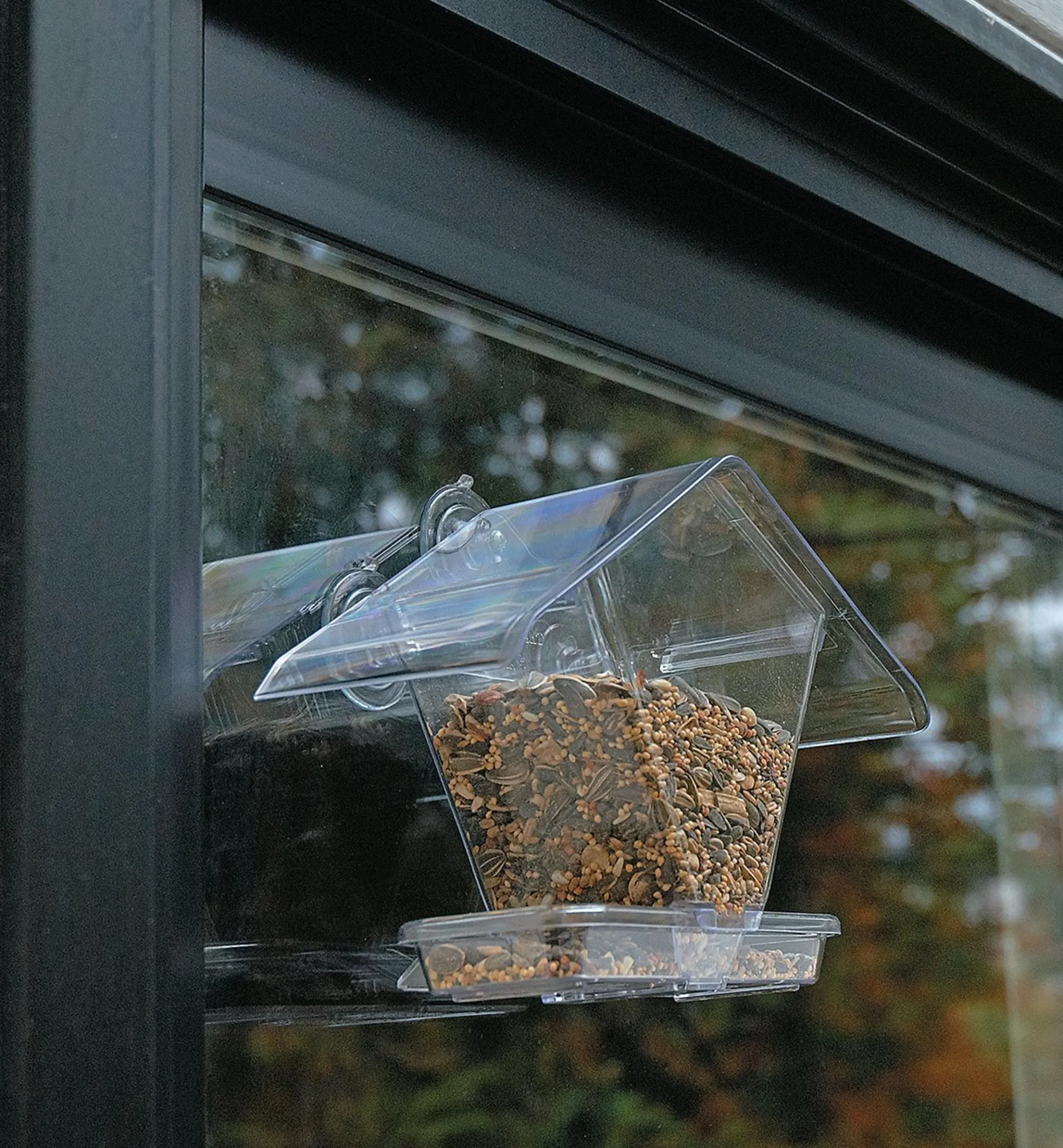 Window Bird Feeder