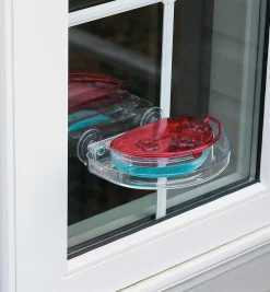 Window Hummingbird Feeder