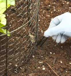 Wire Plant Protectors