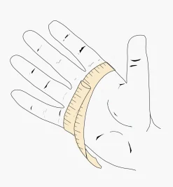 Women's Garden Gloves